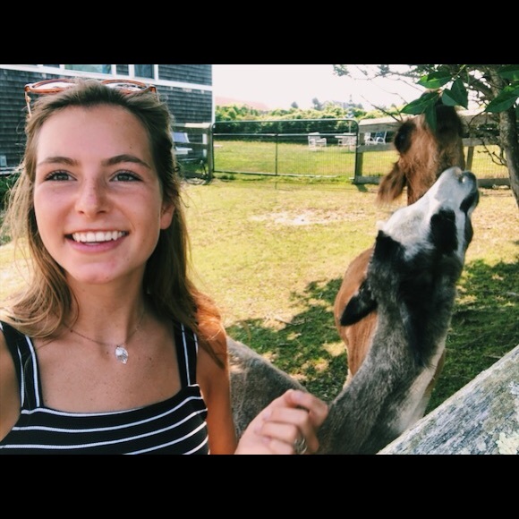 erinmerkler
